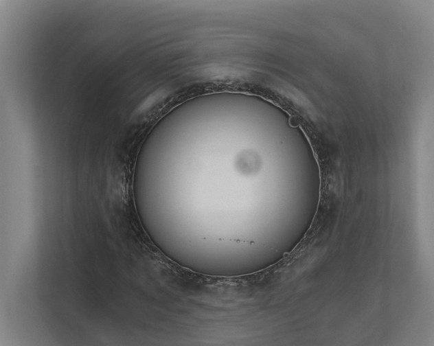 X0000111930869200908101140