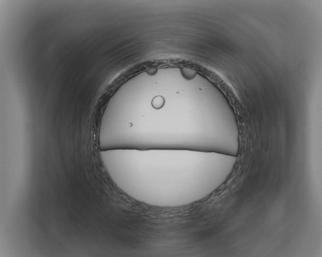 X0000111930871200908101140