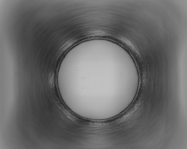 X0000111930873200908101140