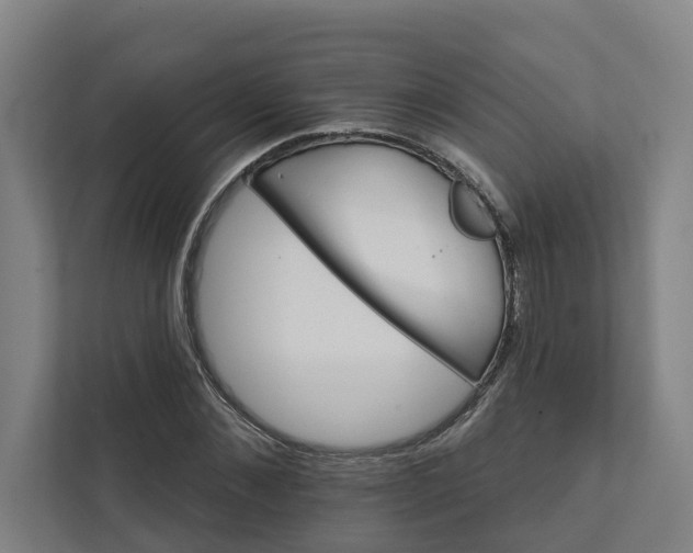 X0000111930876200908101140