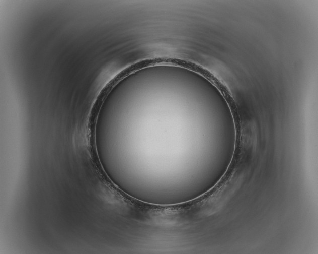 X0000111930879200908101140