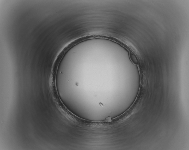 X0000111930880200908101140