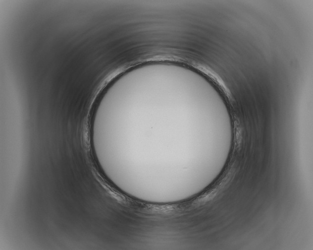 X0000111930882200908101139