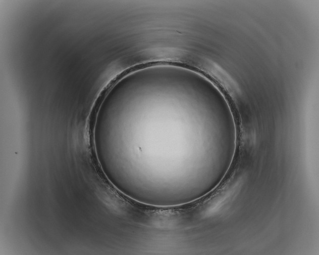 X0000111930883200908101139