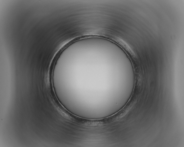 X0000111930884200908101139