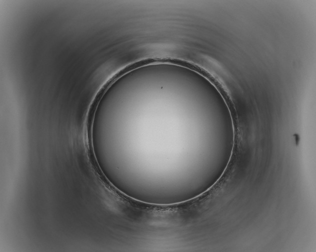 X0000111930887200908101139