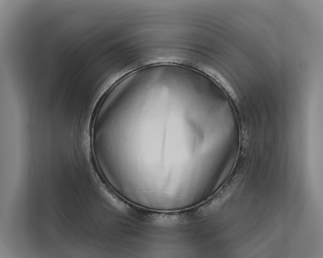 X0000111930890200908101139