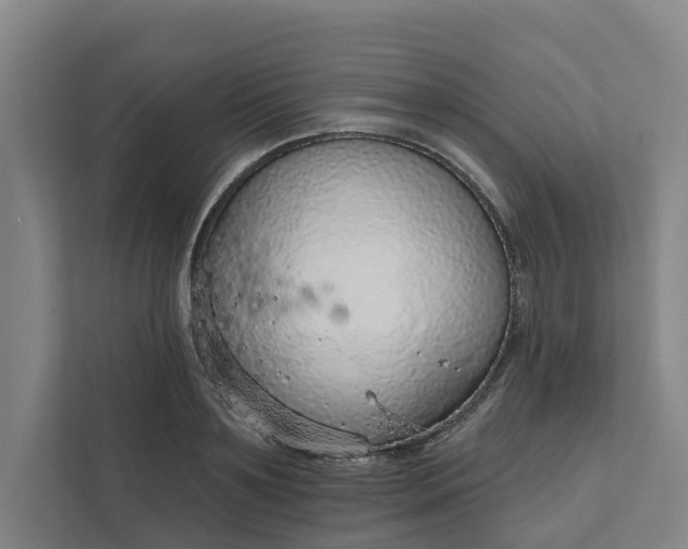 X0000111930891200908101139