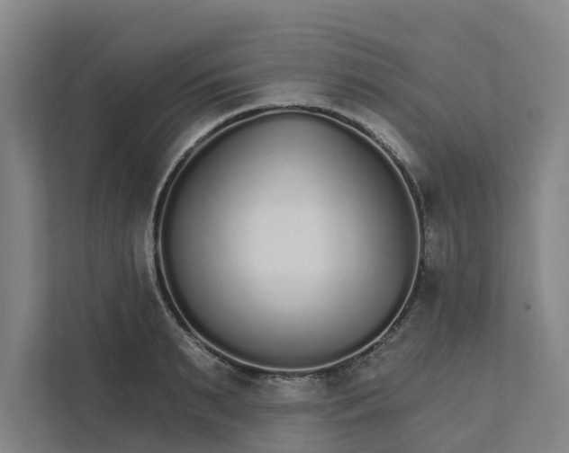 X0000111930895200908101139