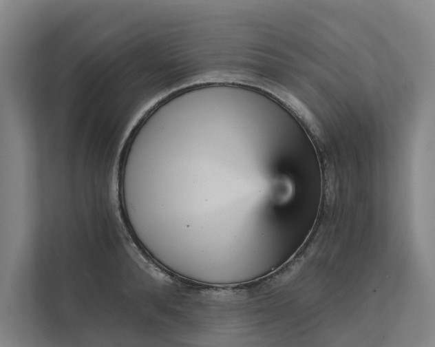 X0000111930896200908101139