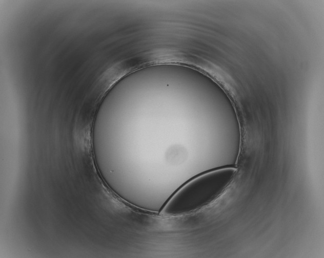 X0000111930897200908101139