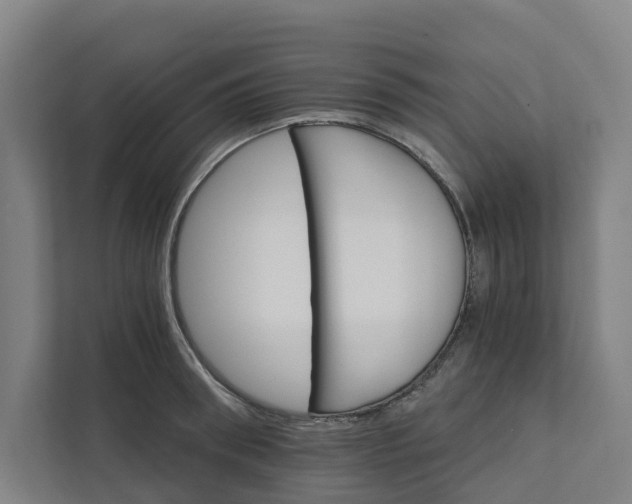 X0000111930898200908101139