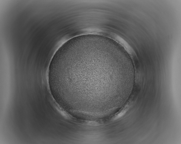 X0000111930899200908101139