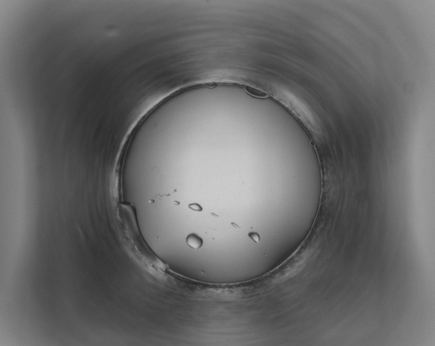 X0000111930900200908101139