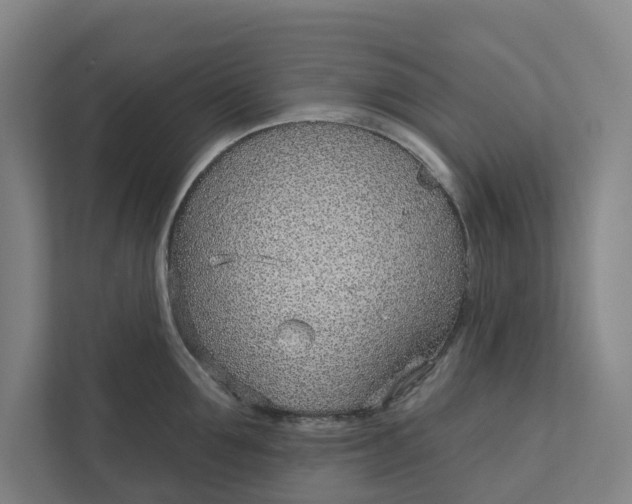 X0000111930907200908101139