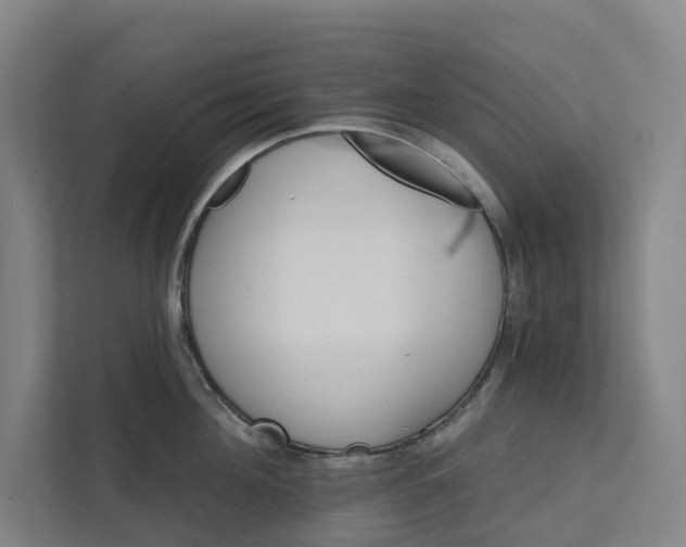 X0000111930908200908101139