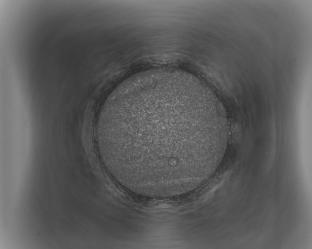 X0000111930913200908101138