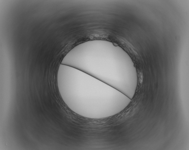 X0000111930915200908101139