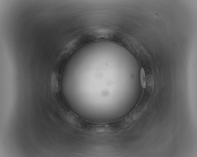 X0000111930916200908101139