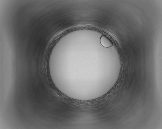 X0000111930920200908101139