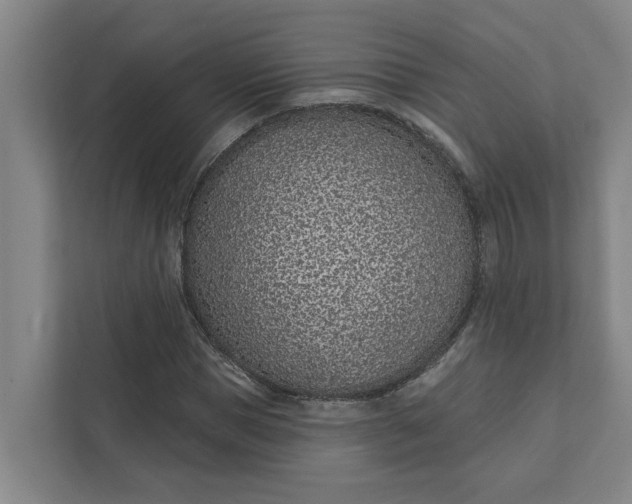 X0000111930921200908101139