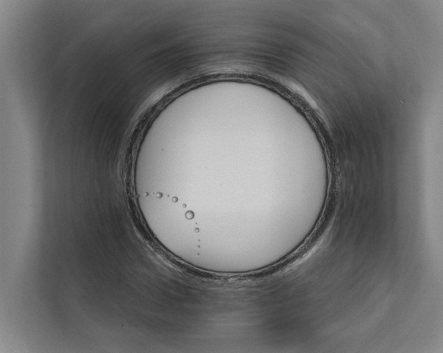 X0000111930922200908101139