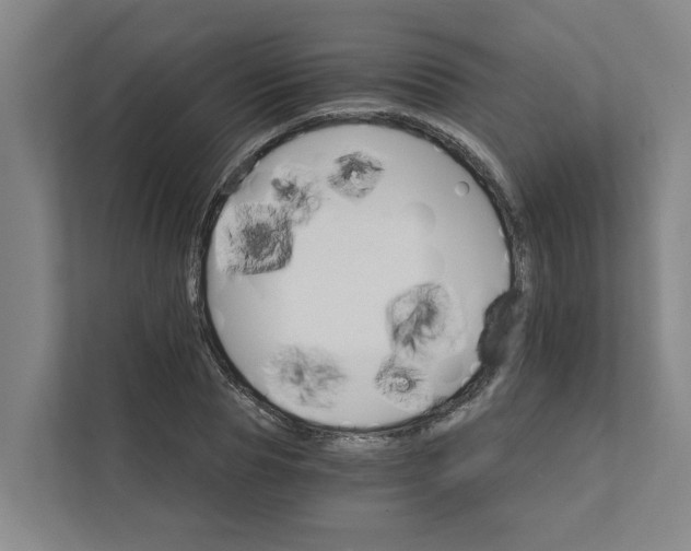 X0000111930929200908101139