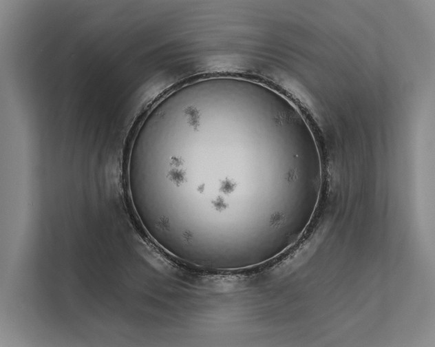 X0000111930930200908101139