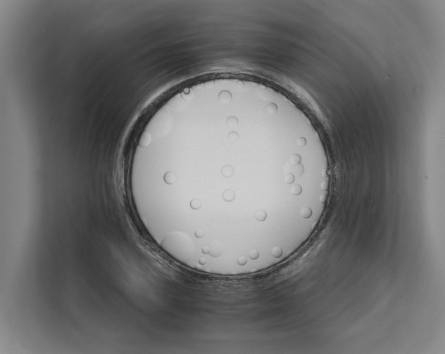 X0000111930931200908101139