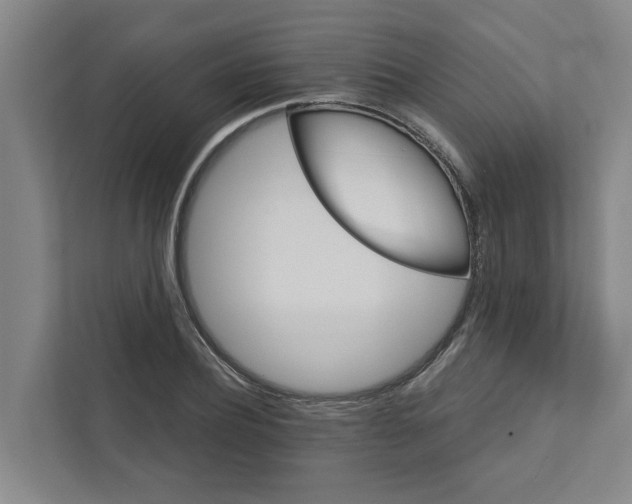 X0000111930932200908101139