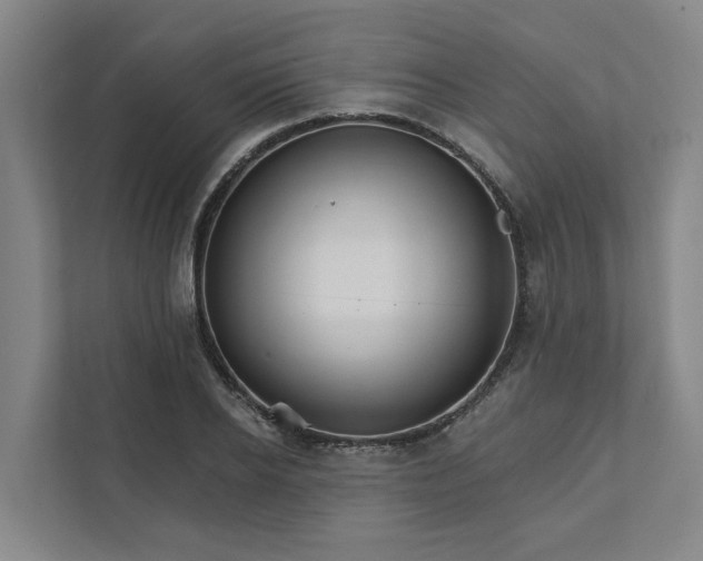 X0000111930934200908101139