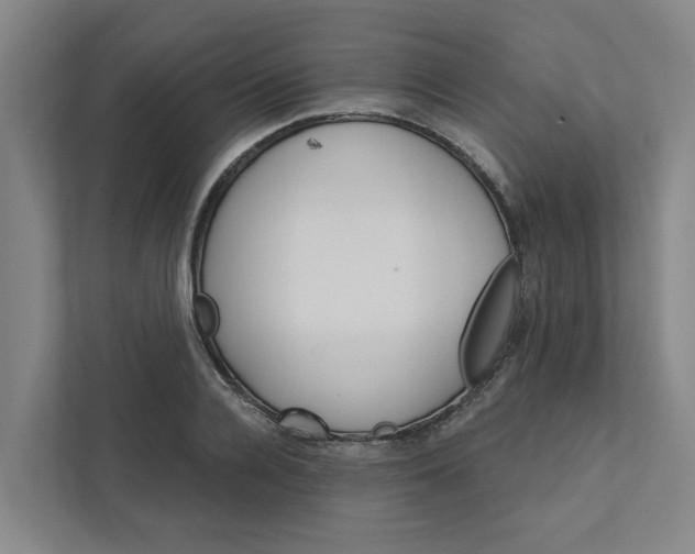 X0000111930936200908101139