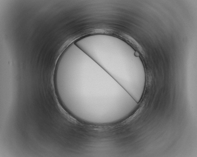 X0000111930938200908101139