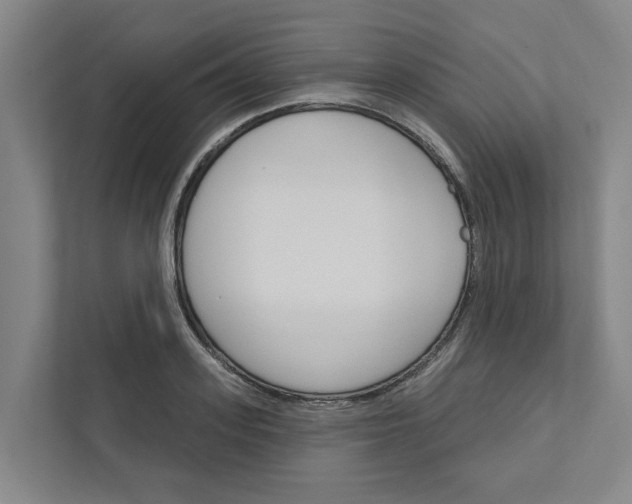 X0000111930939200908101139