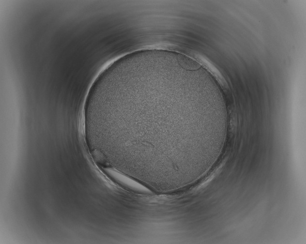 X0000111930940200908101139