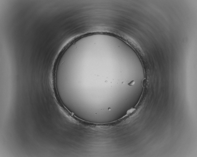 X0000111930942200908101139