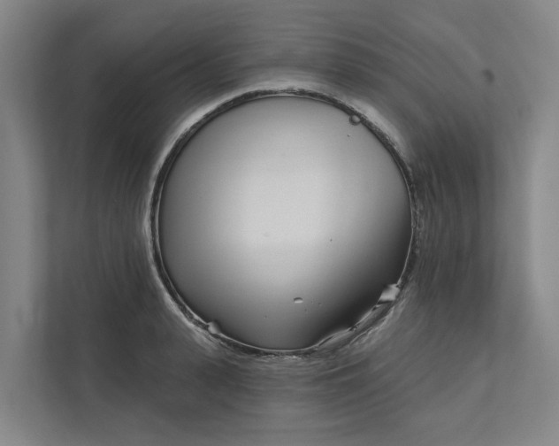 X0000111930943200908101139