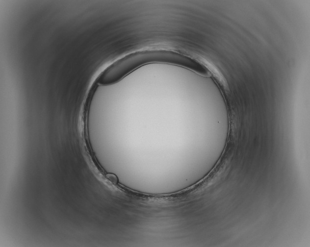 X0000111930944200908101139