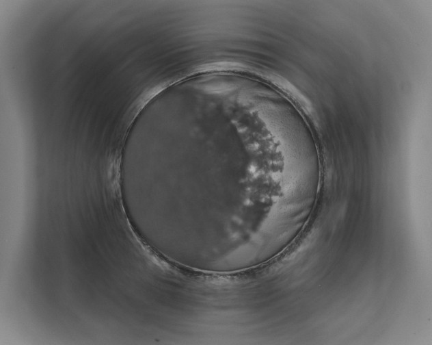 X0000111930945200908101139