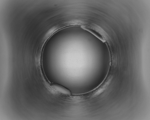 X0000111930946200908101139