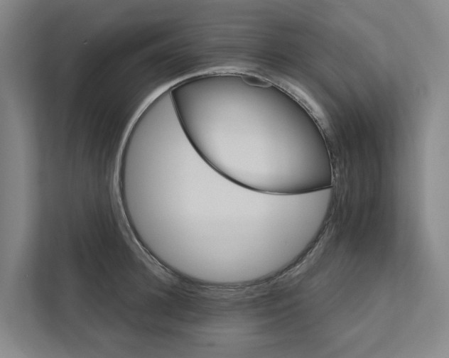 X0000111930948200908101139