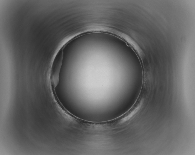 X0000111930951200908101139