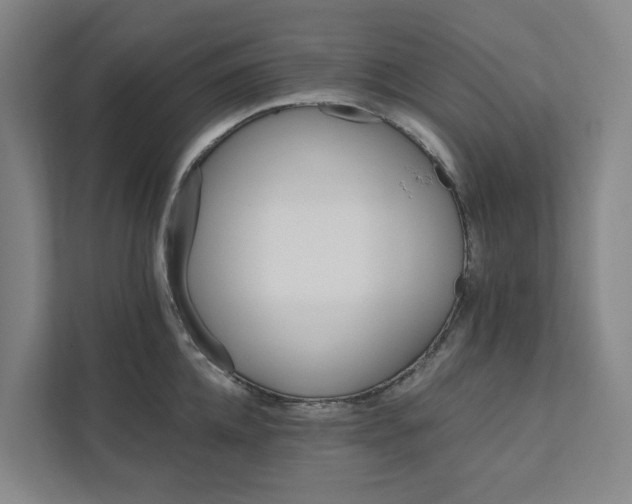 X0000111930952200908101139