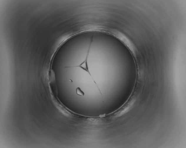 X0000111930954200908101139