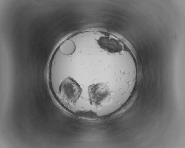 X0000111930957200908101139