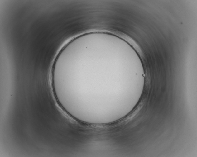 X0000111930958200908101139