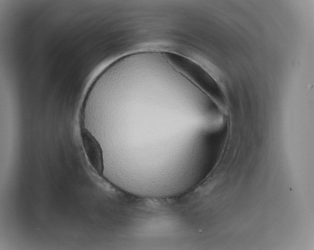 X0000111930960200908101139