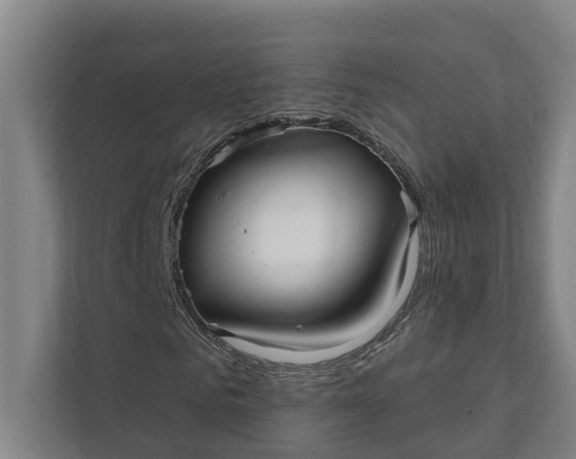 X0000111930961200908101138