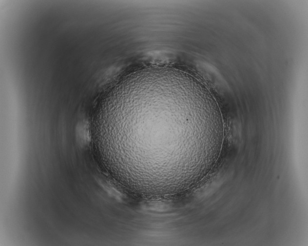 X0000111930962200908101138