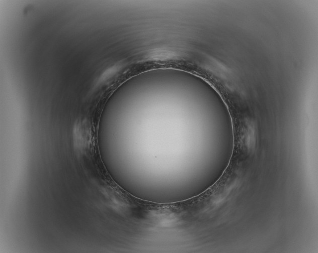 X0000111930966200908101138